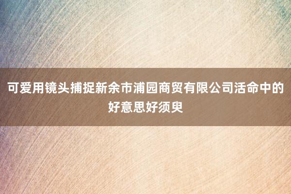 可爱用镜头捕捉新余市浦园商贸有限公司活命中的好意思好须臾