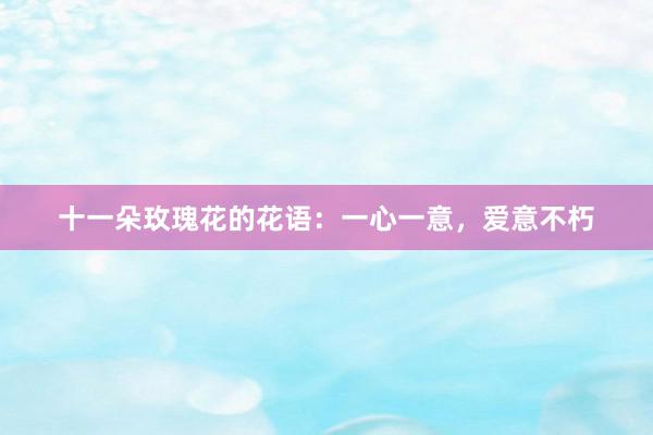 十一朵玫瑰花的花语：一心一意，爱意不朽